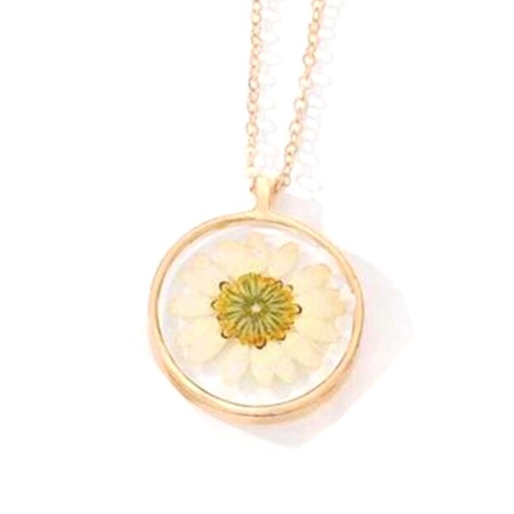 Darling Daisy Genuine Pressed Preserved Dried Gold Flower Floral Summer Necklace - Picture 16 of 16